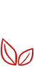 东莞专长摄像师